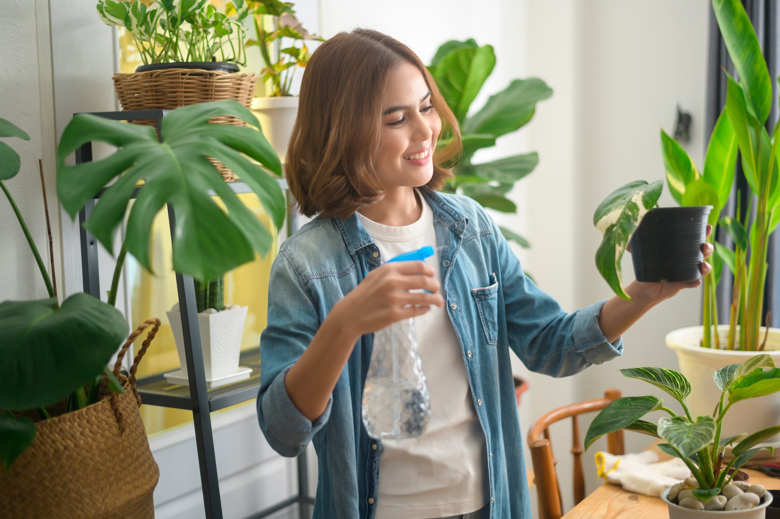How Insulation Improves Indoor Air Quality